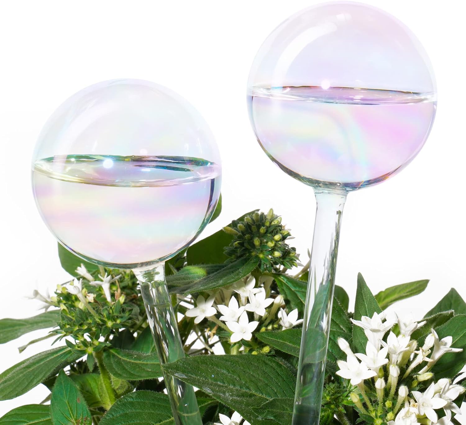 Thumbnail 6 de [3PCS] Light Iridescent Rainbow Gradient Colour Clear Glass Self-Watering System Spikes, Automatic Plant Waterer Bulbs