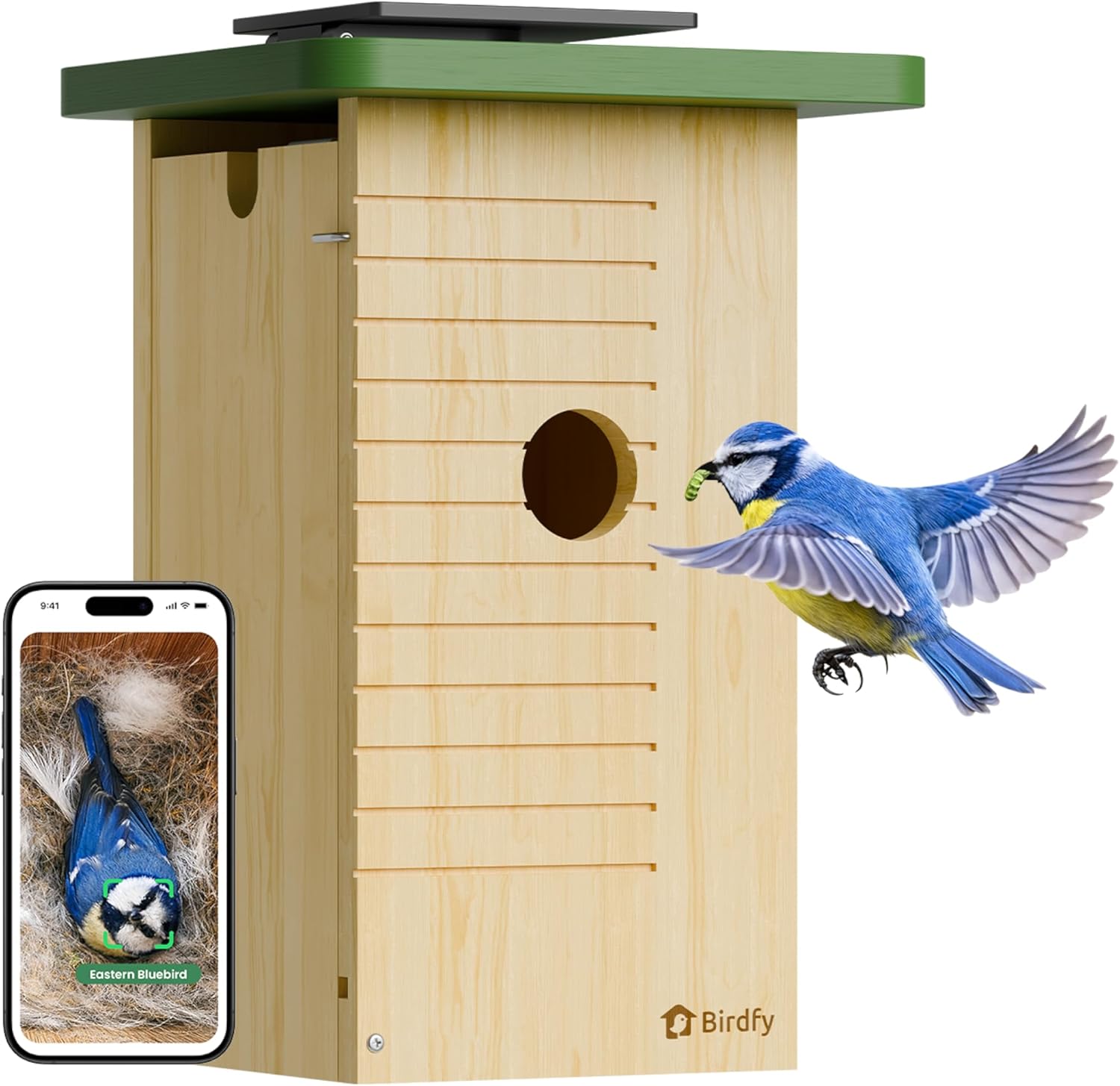 Detalle de Birdfy Smart Bird House with Camera – Solar Powered, 1080HD Live Video
