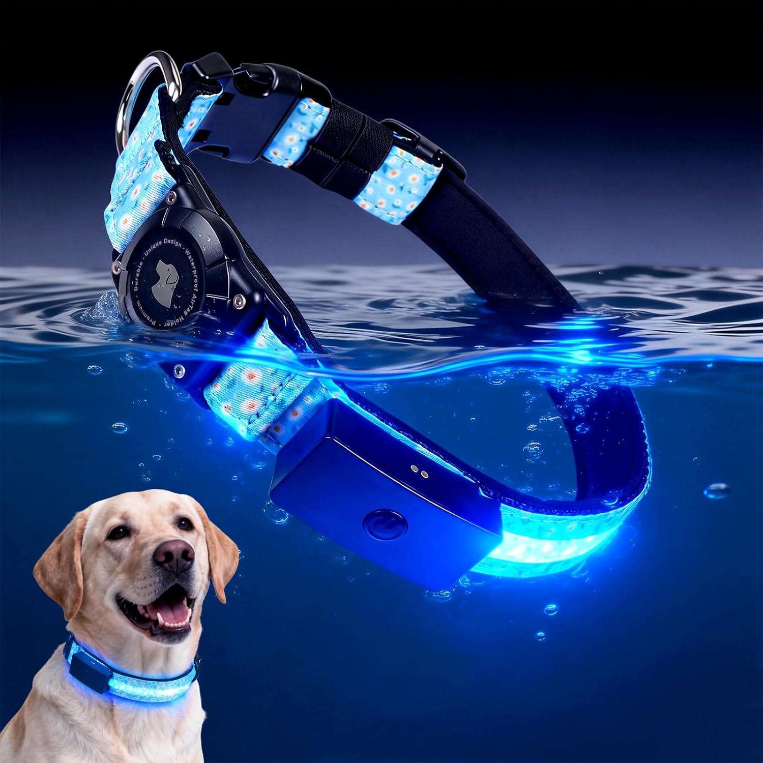 Detalle de Zowpet LED Dog Collar, XL
