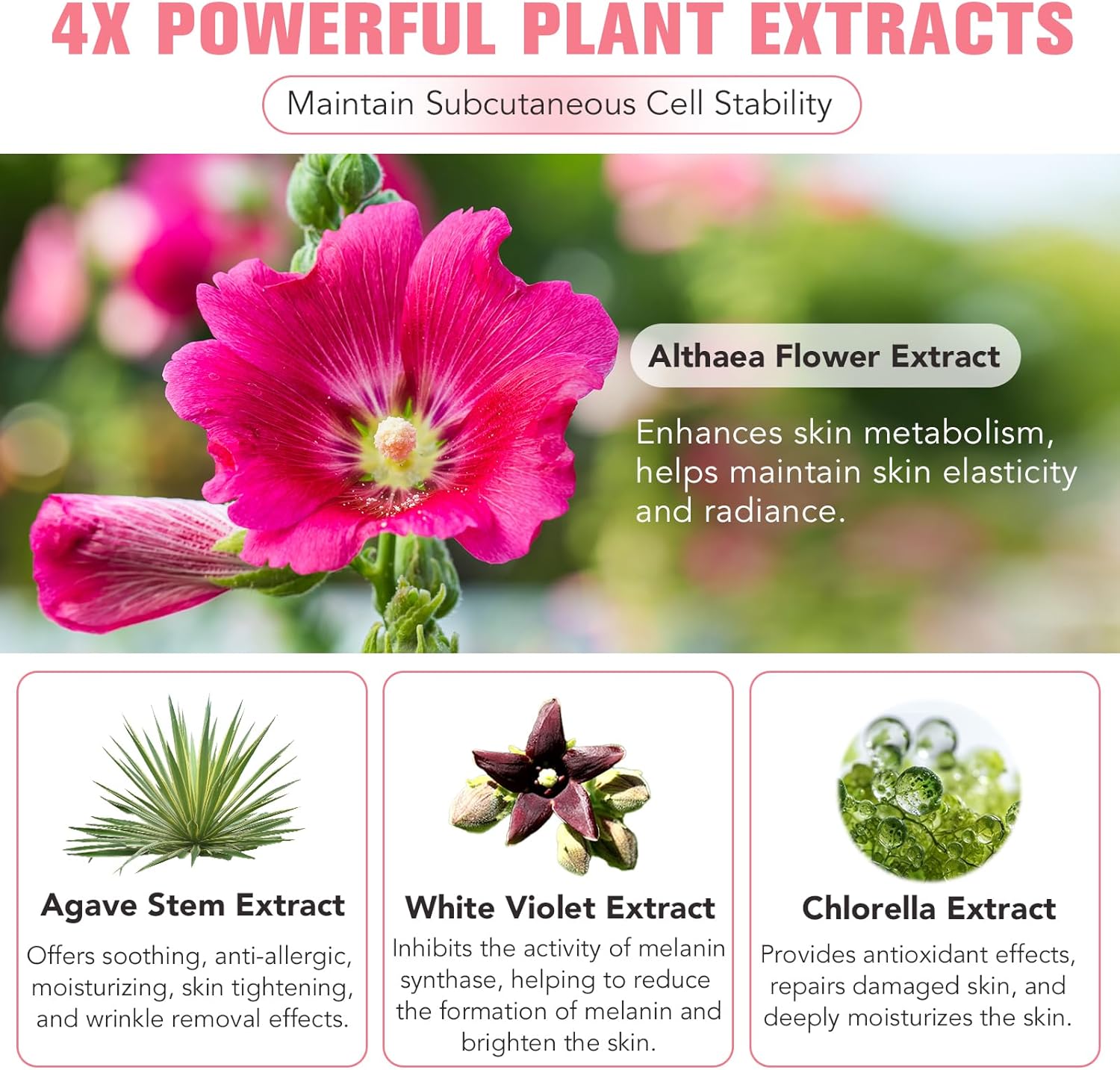 Thumbnail 5 de Maschera Collagene viso Collagen Night Wrapping Mask notturna al collagene, acido ialuronico e ceramide NP da 75 ml (2 pz)