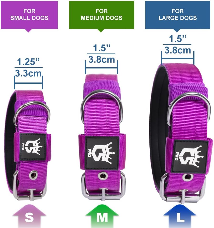 Detalle 2 de TSPRO Taktisches Hundehalsband 3,8 cm