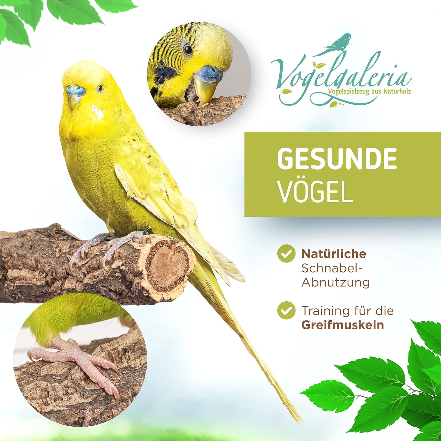 Detalle 2 de Vogelgaleria Leckere Korksitzstange – Naturkork-Sitzstange für Wellensittich & Nymphensittich (20 cm)