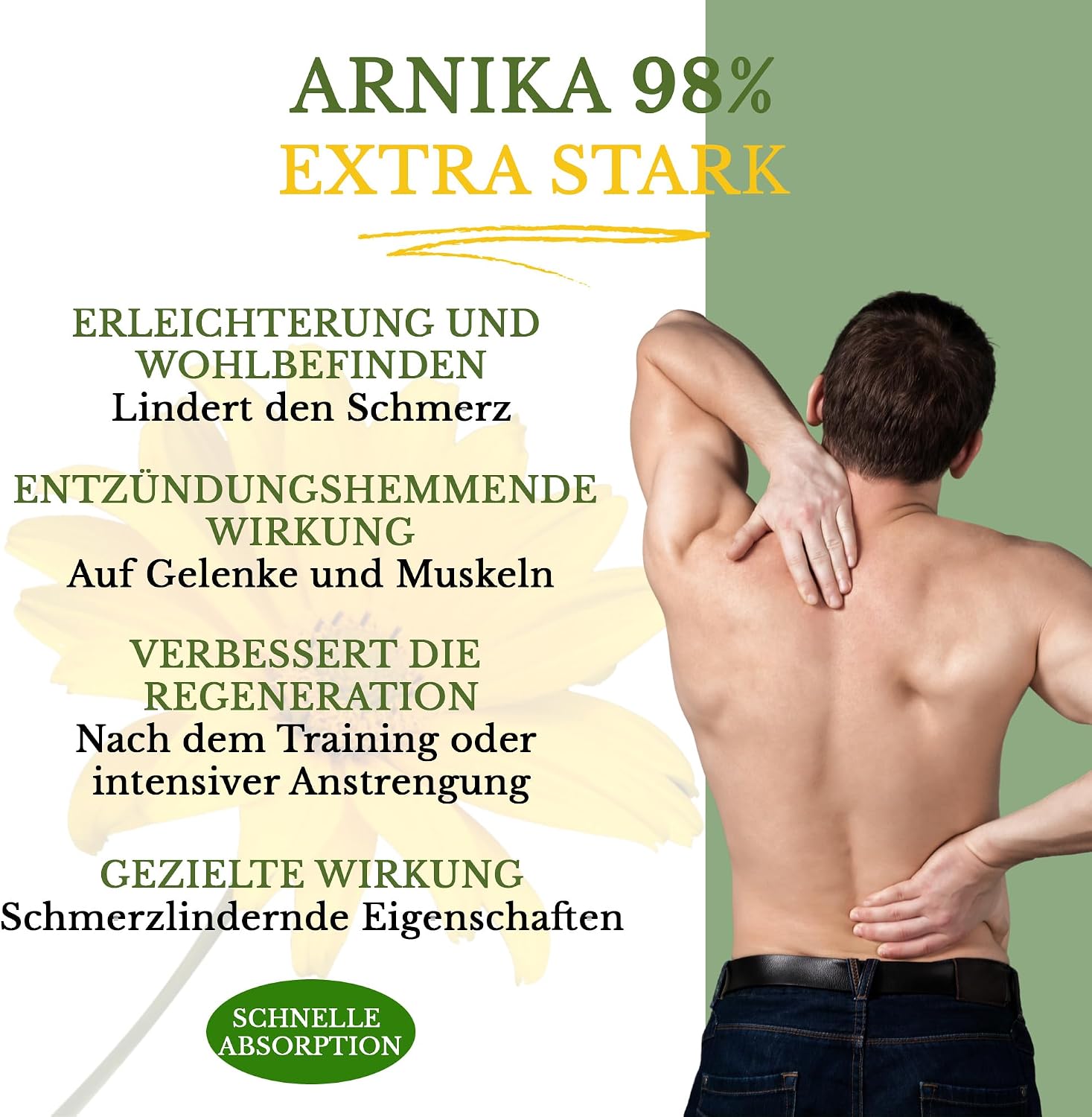 Detalle 2 de Arnika Gel Pferdesalbe extra stark