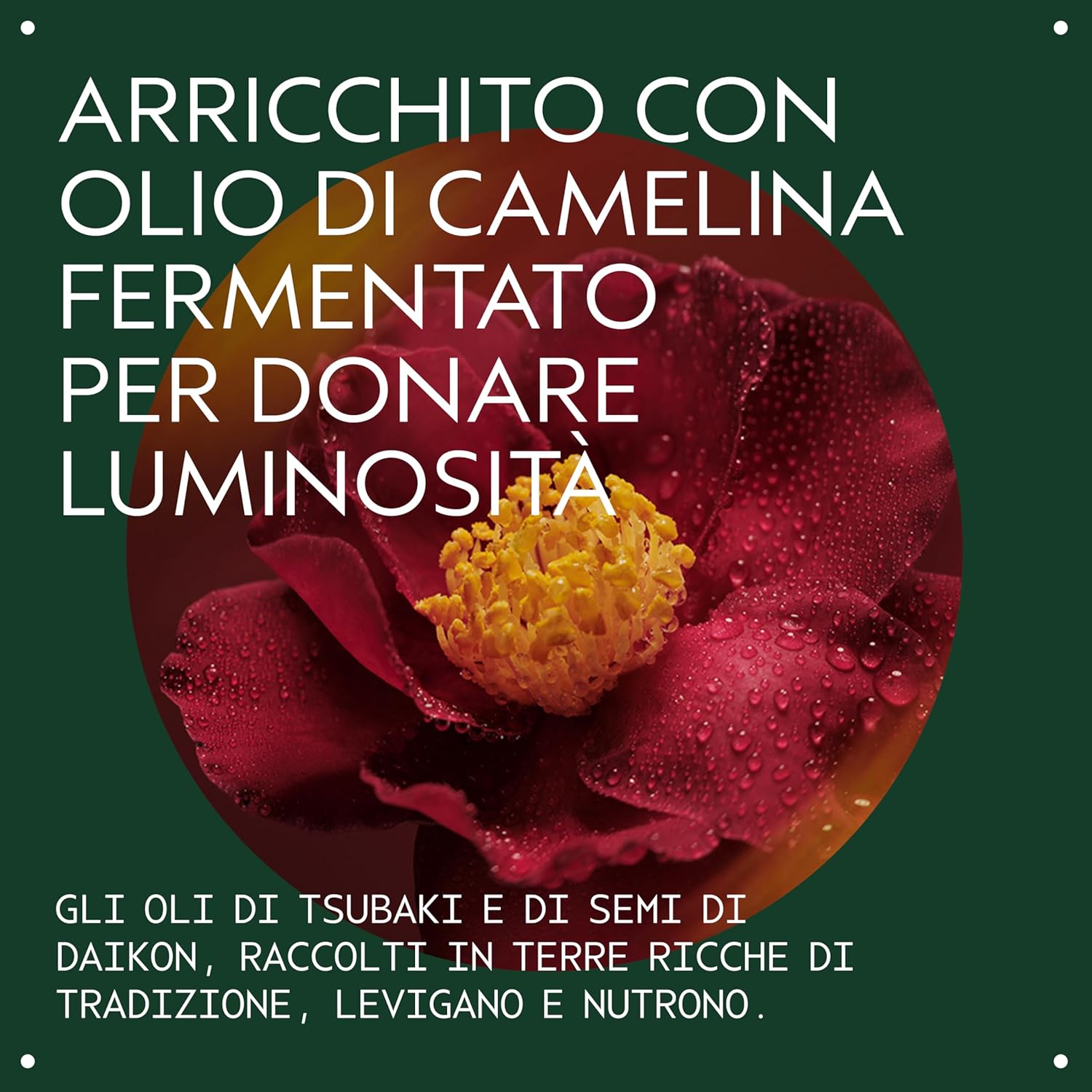 Detalle 2 de Aveda Miraculous Oil – Olio Concentrato per capelli lucenti, 50 ml