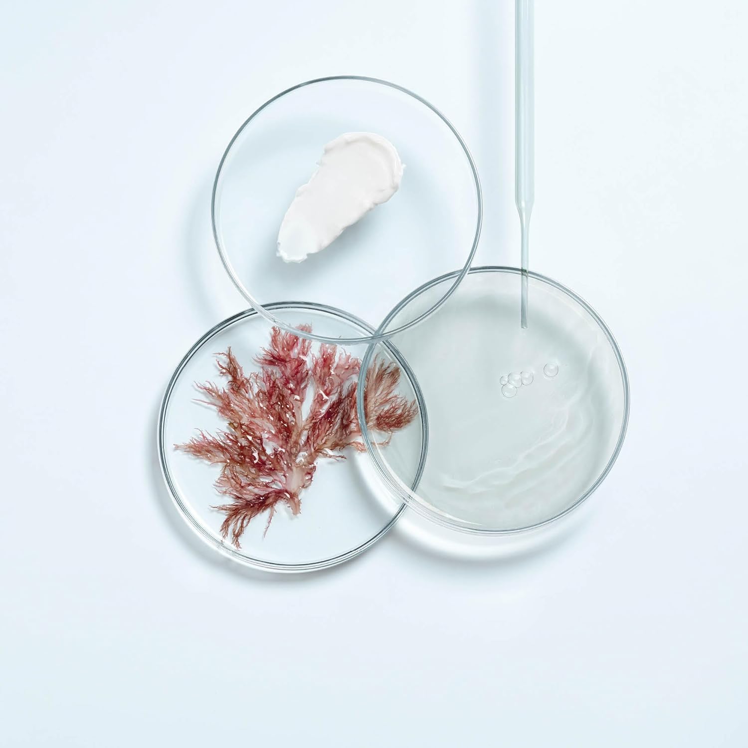 Thumbnail 3 de THALGO CICA Marin beruhigende Creme mit marinen Präbiotika – SOS-Pflege für empfindliche Haut