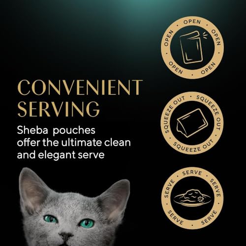 Thumbnail 10 de Sheba Sauce Collection Kitten Pouches in Gravy – 40 x 85g