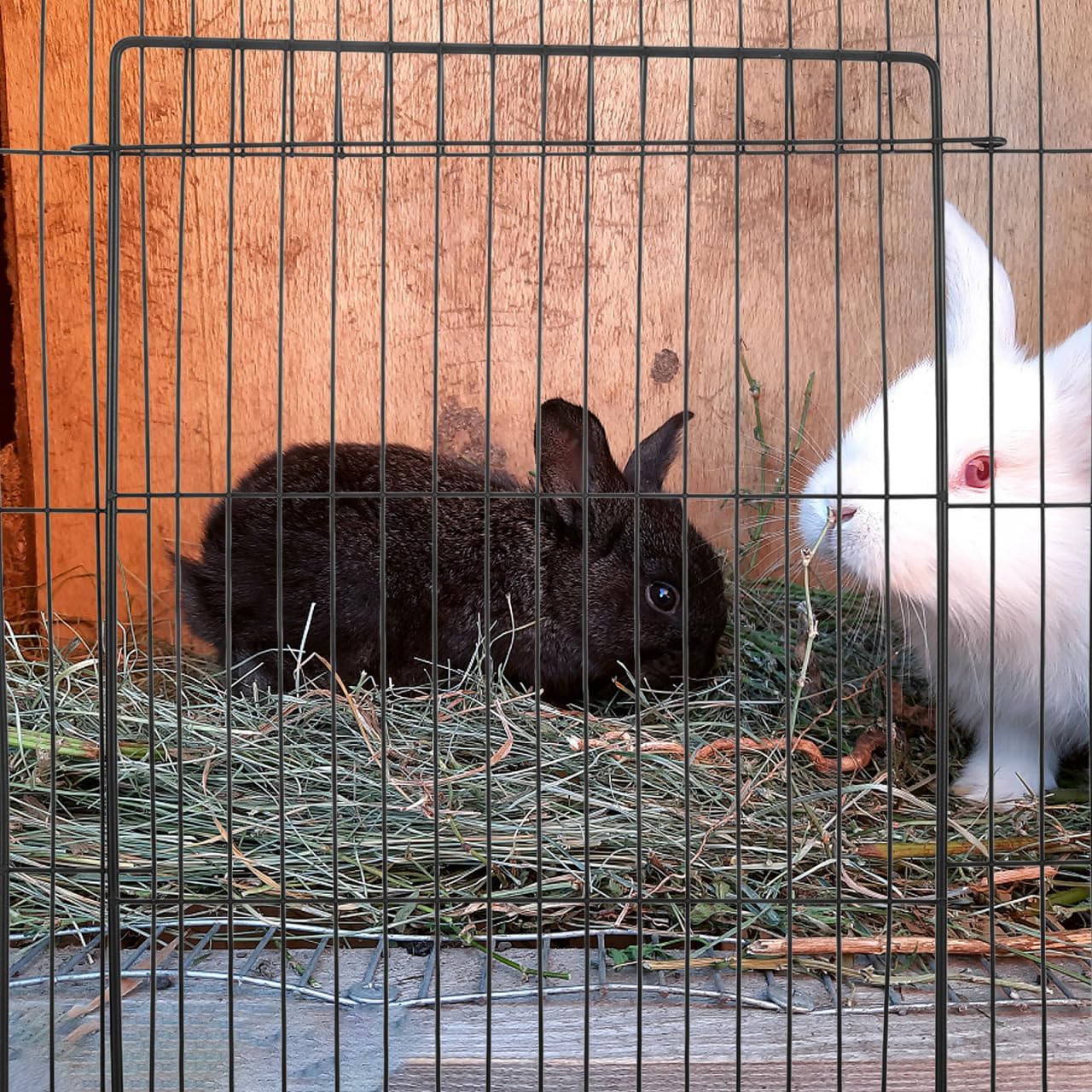 Thumbnail 5 de Milisten Cat Playpen Door Detachable Wire Cage Panel for Small Pets