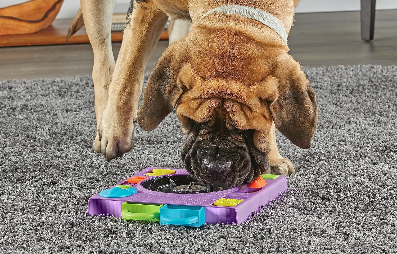Detalle 2 de Brightkins DJ Doggo Puzzle Feeder: 2-in-1 Slow Feeding Bowl & Interactive Toy