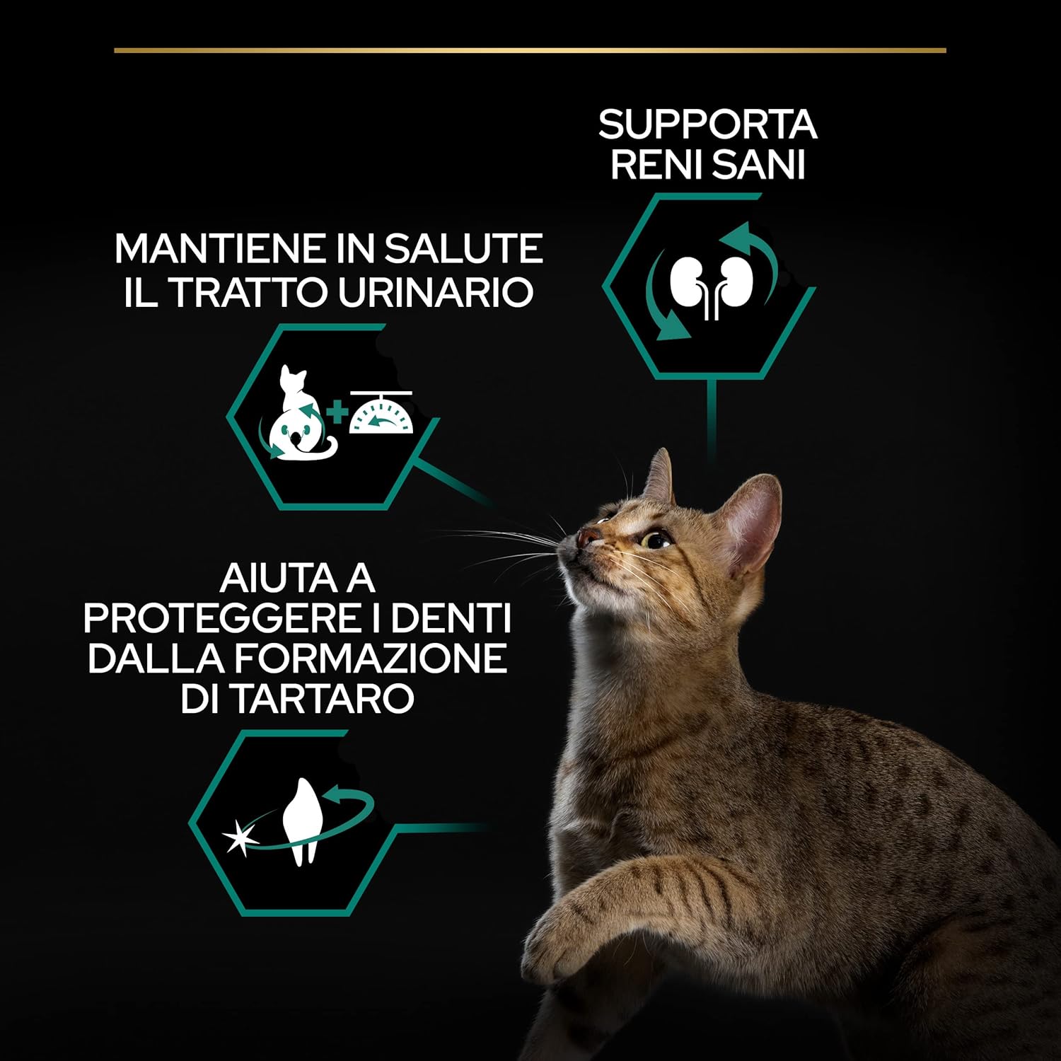 Thumbnail 6 de PURINA PRO PLAN Renal Plus Crocchette per Gatti Sterilizzati al Salmone – 10 kg