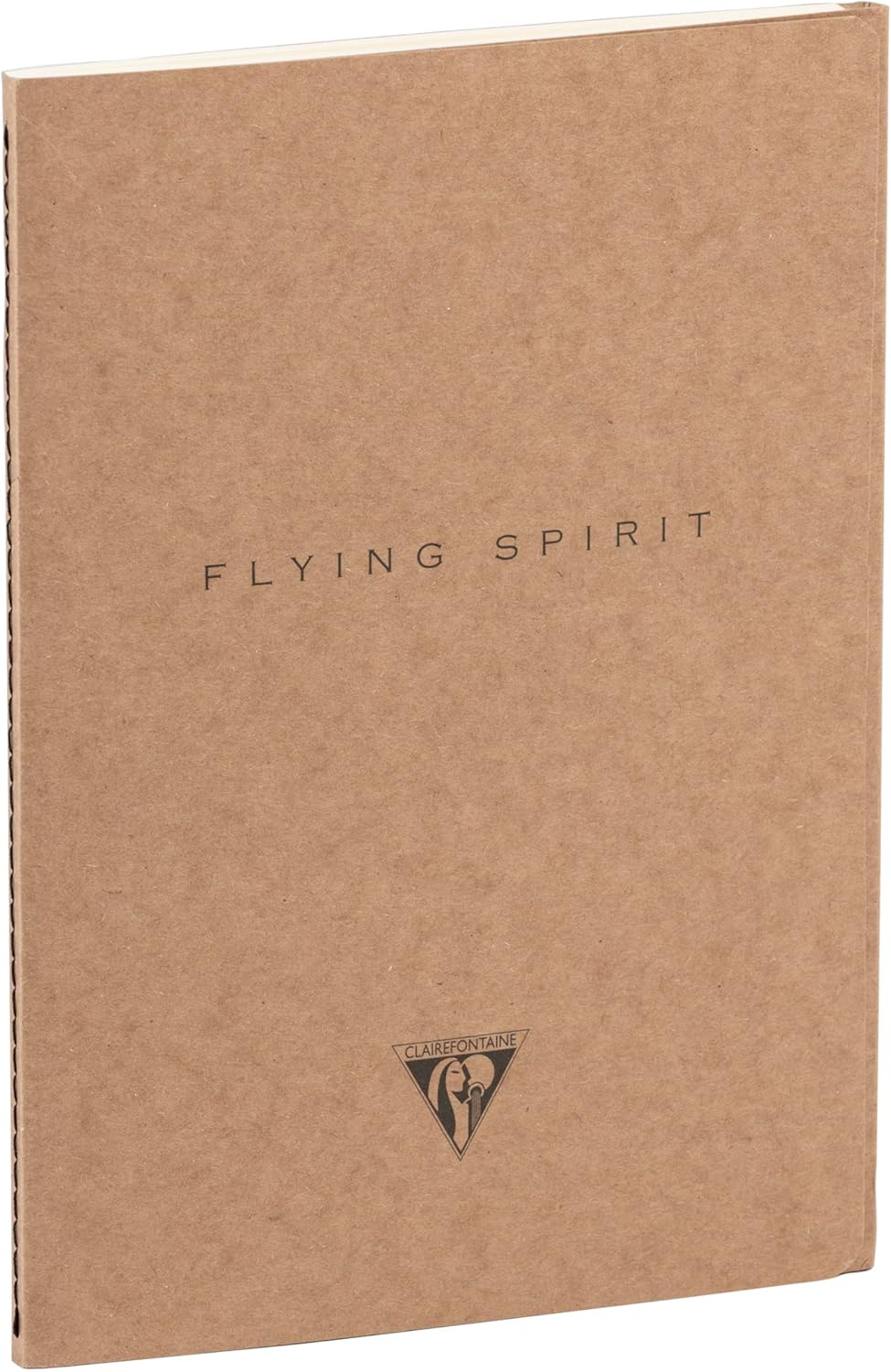 Thumbnail 2 de Clairefontaine 103536C – Lot de 5 carnets piqués cousus Flying Spirit 96 pages ivoire, 14,8x21 cm