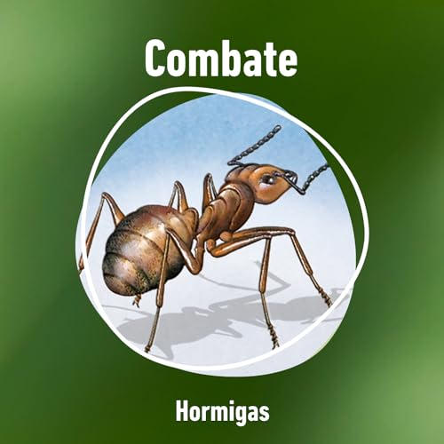 Thumbnail 3 de COMPO Antihormigas: granulado espolvoreable de 300 g para uso interior y exterior