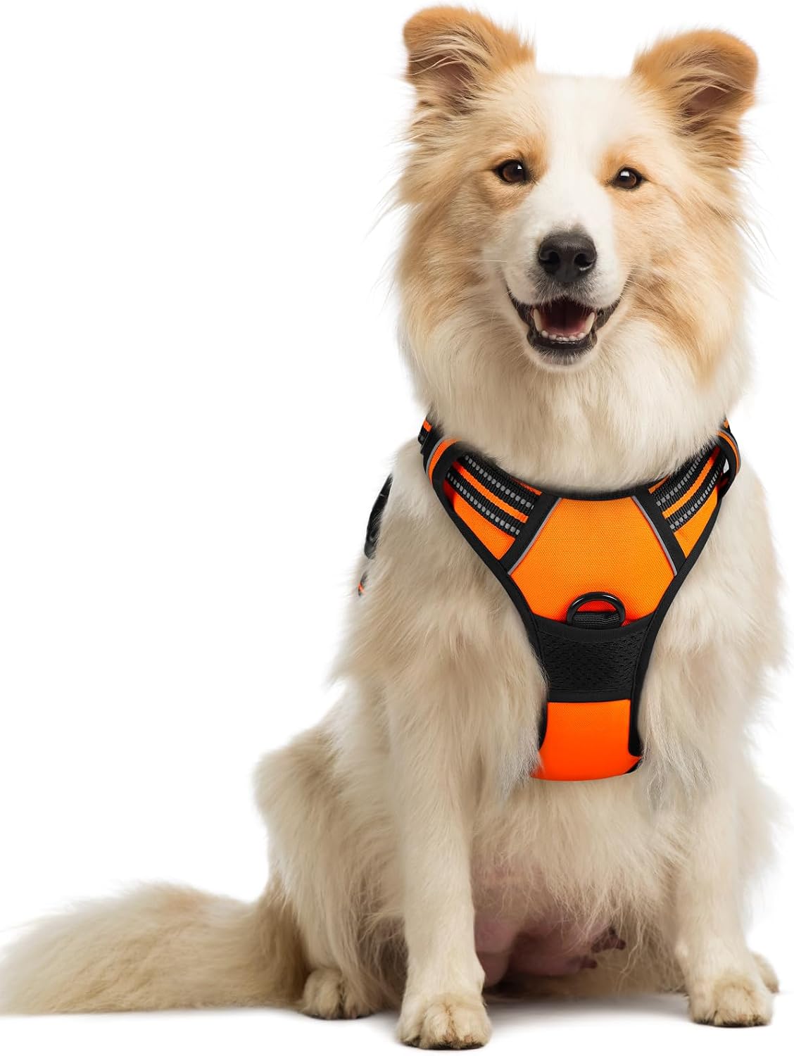 Detalle de rabbitgoo Hundegeschirr Mittelgroße Hunde No Pull, verstellbar mit 2 Ösen und Reflexstreifen (Größe M, Orange)