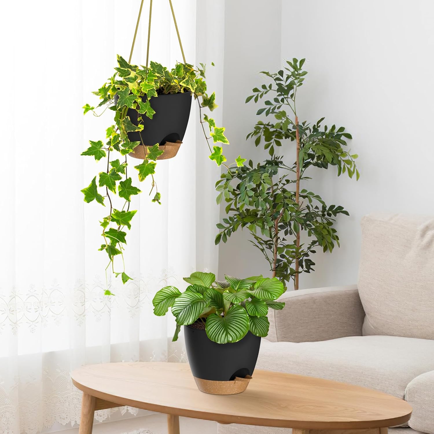 Thumbnail 4 de ZMTECH 8-Inch Hanging Planters, 2-Pack, Self-Watering with Drainage Holes, Black