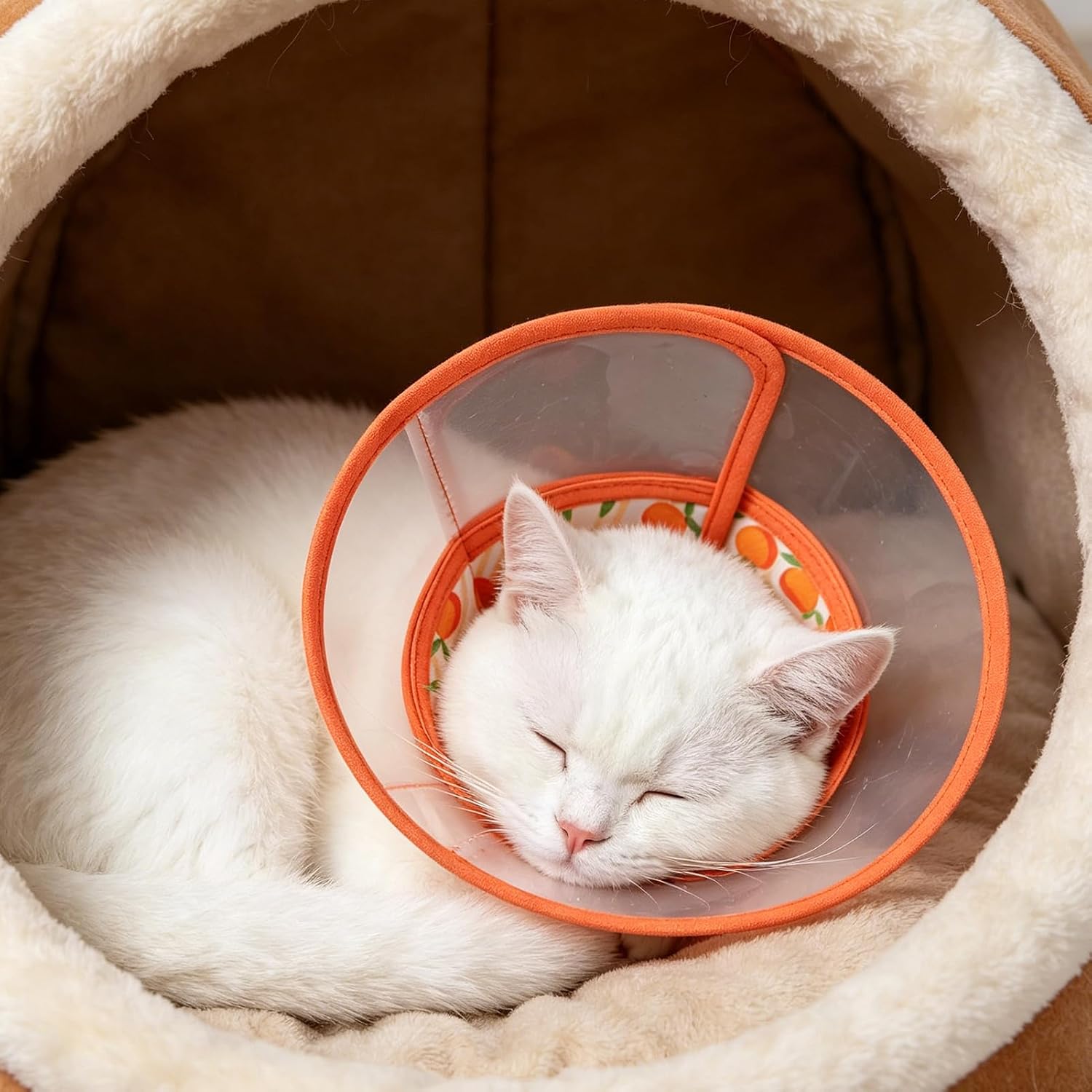 Thumbnail 6 de PUPTECK Cat Recovery Collar Size S
