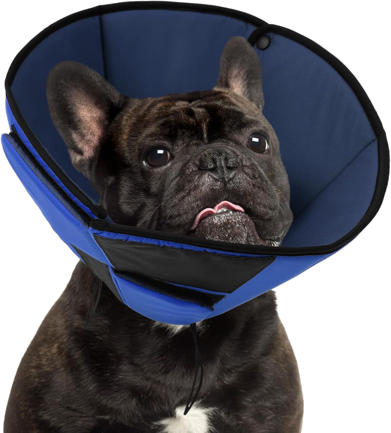 Preferhouse Small Dog Cone Collar adjustable S