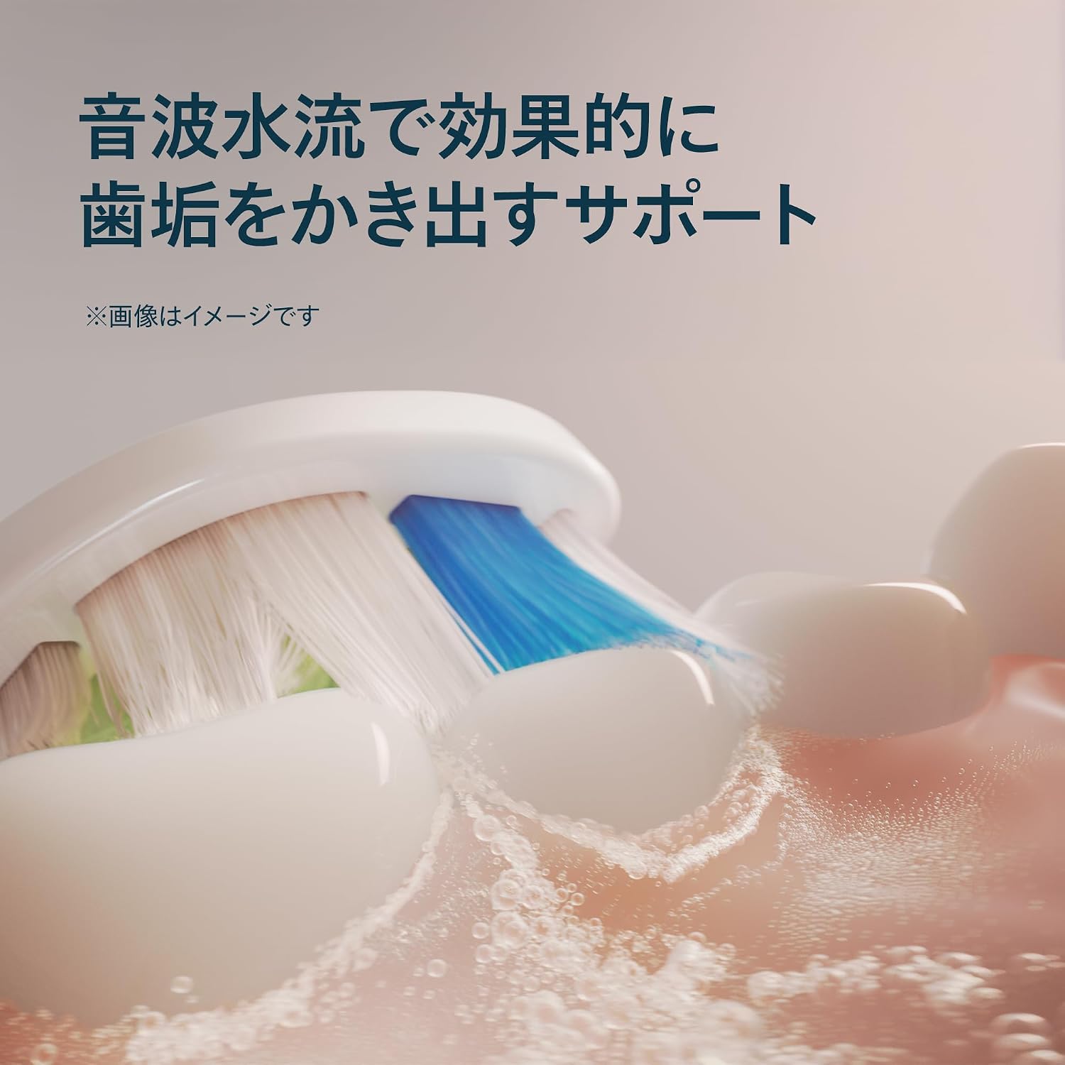 Detalle de フィリップス ソニッケアー W2 ホワイトプラス HX6066/14 替えブラシ レギュラー6本