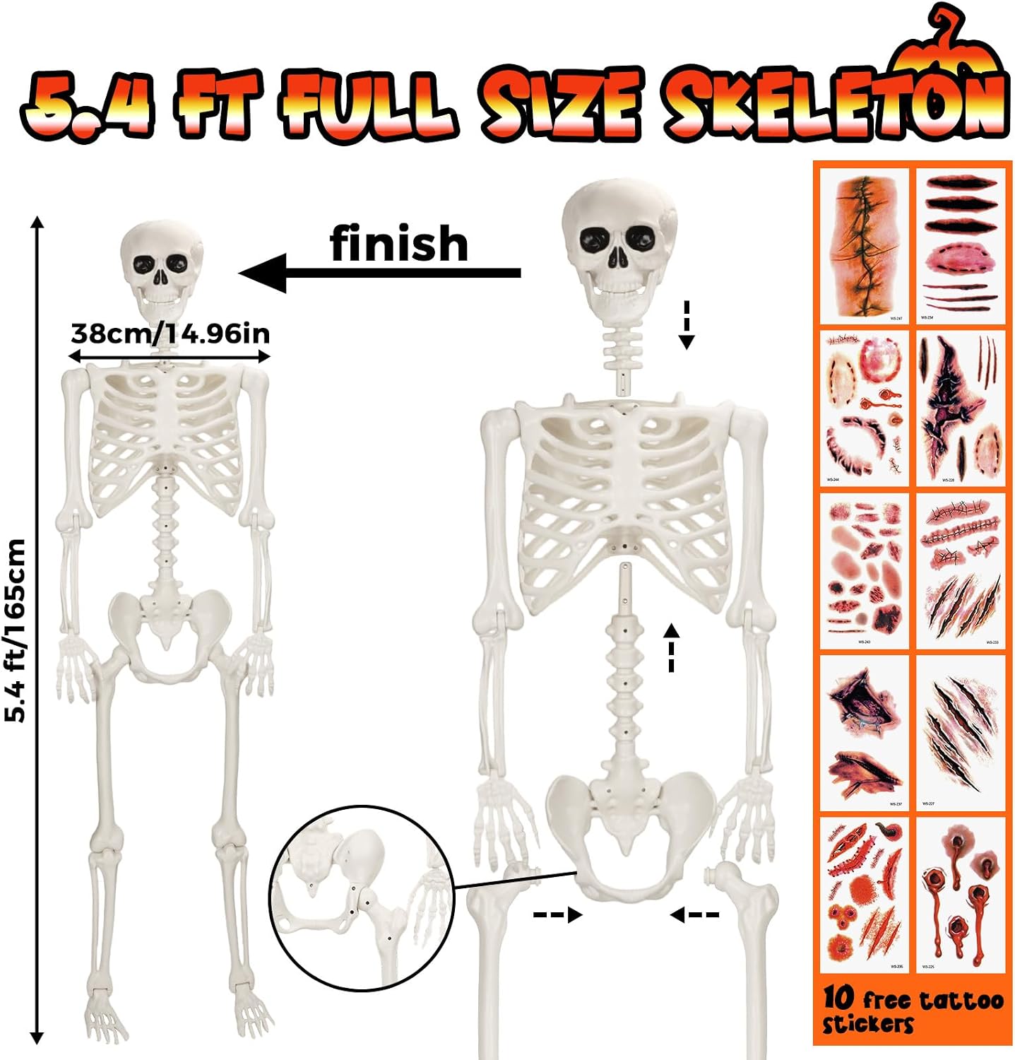 Detalle 2 de Crogift SK1656 5.4 ft Poseable Life-Size Plastic Skeleton