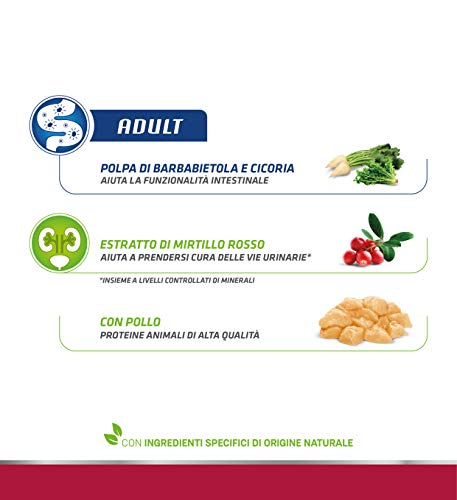Thumbnail 6 de Trainer Natural Cat Adult con Pollo 10 Kg – alimento completo per gatti adulti