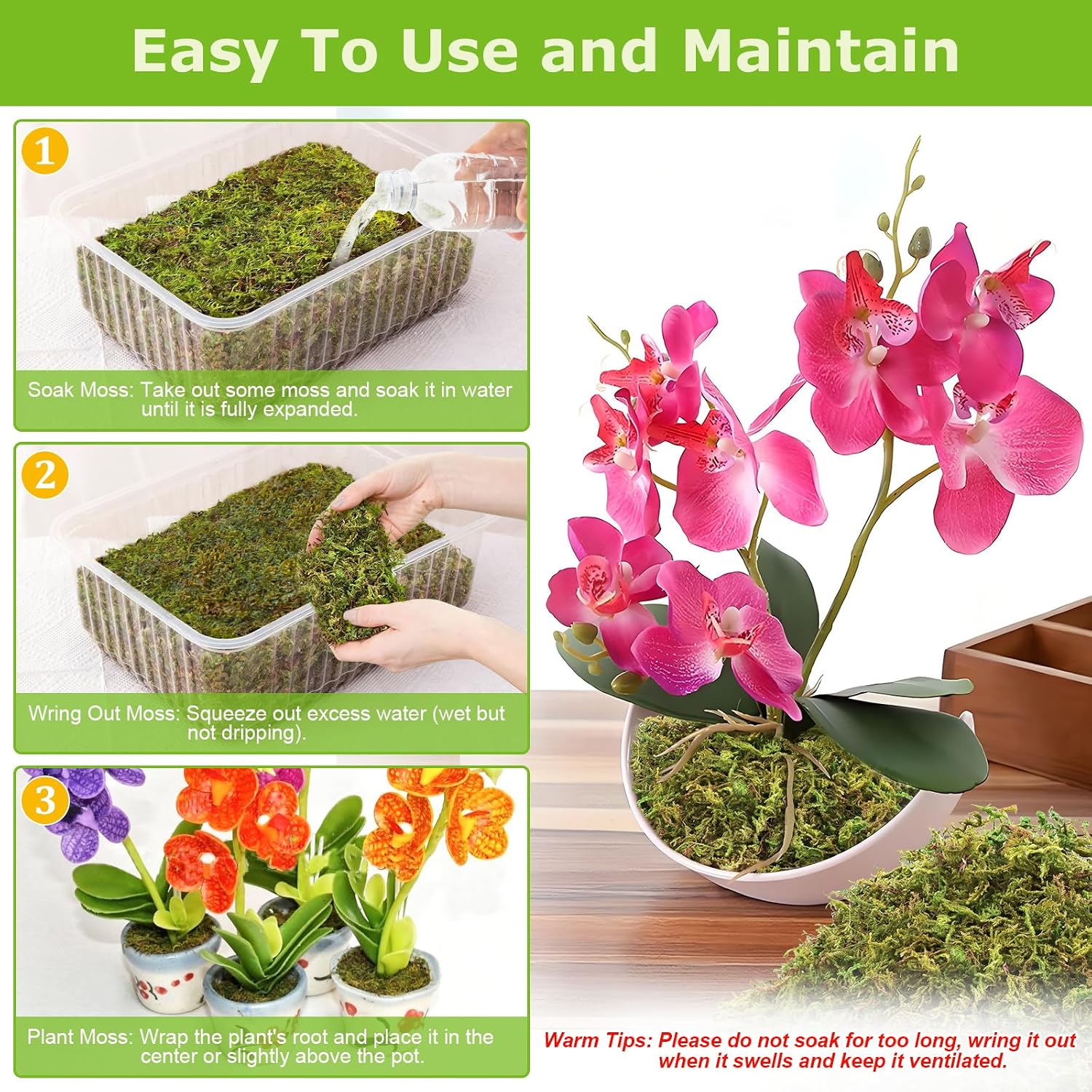 Detalle de Legigo L-DE-Forest Moss-600g Sphagnum Moss, 1.3 lb Natural Long Fiber