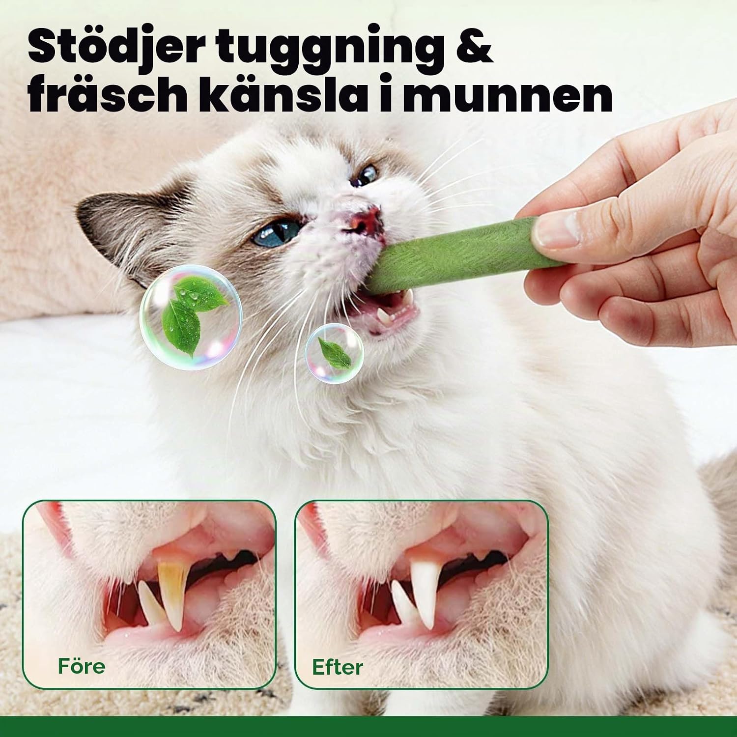 Detalle de YijiaXingzhou frystorkade kattgräspinnar, 60 g med kyckling och äggula