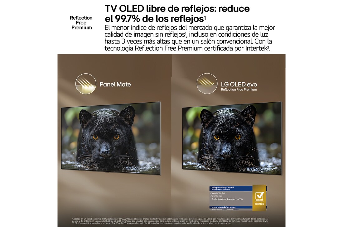 Detalle 2 de LG OLED evo G6 55" (OLED55G66LS) 2026: ver la imagen y oírla de otra forma