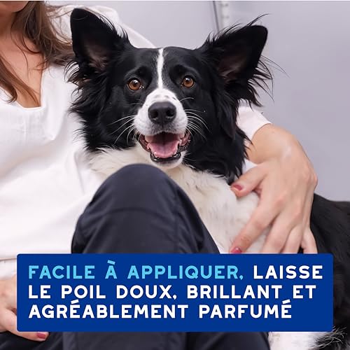 Thumbnail 6 de DOUXO Skin & Coat Spa Ultra-Safe Mousse sans rinçage pour Chiens – 150 ML