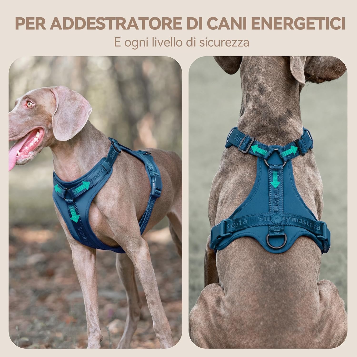 Thumbnail 1 de Sunraymascota imbracatura per cani con imbottitura in Lycra, rete traspirante e taglia regolabile (Blu di Prussia, S)