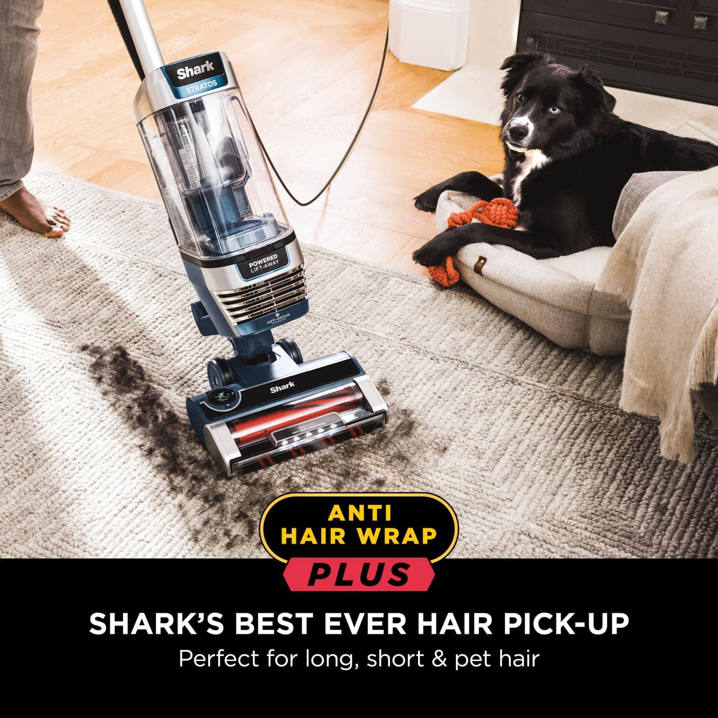 Detalle 2 de Shark Stratos XL AZ3000UKT 2.6L Upright Vacuum
