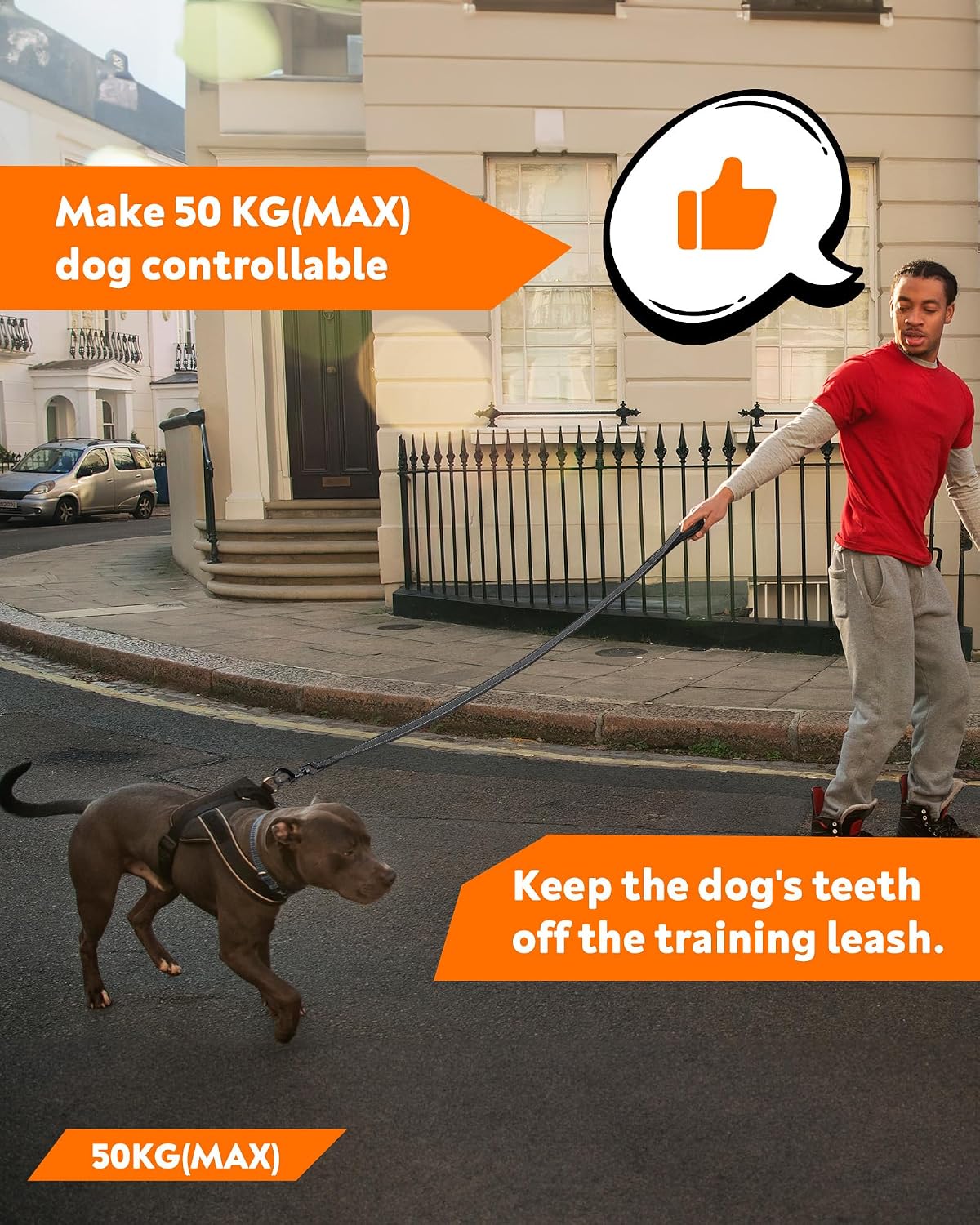 Detalle de Toozey Dog training lead 15m 2.5cm longline