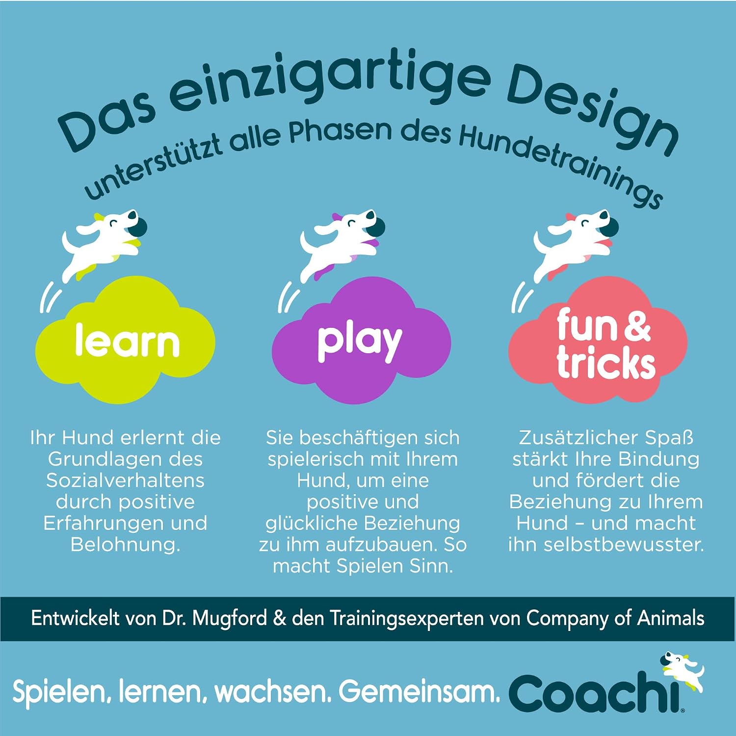 Detalle 1 de Coachi Training Line 10 m, Rückrufleine für Hunde