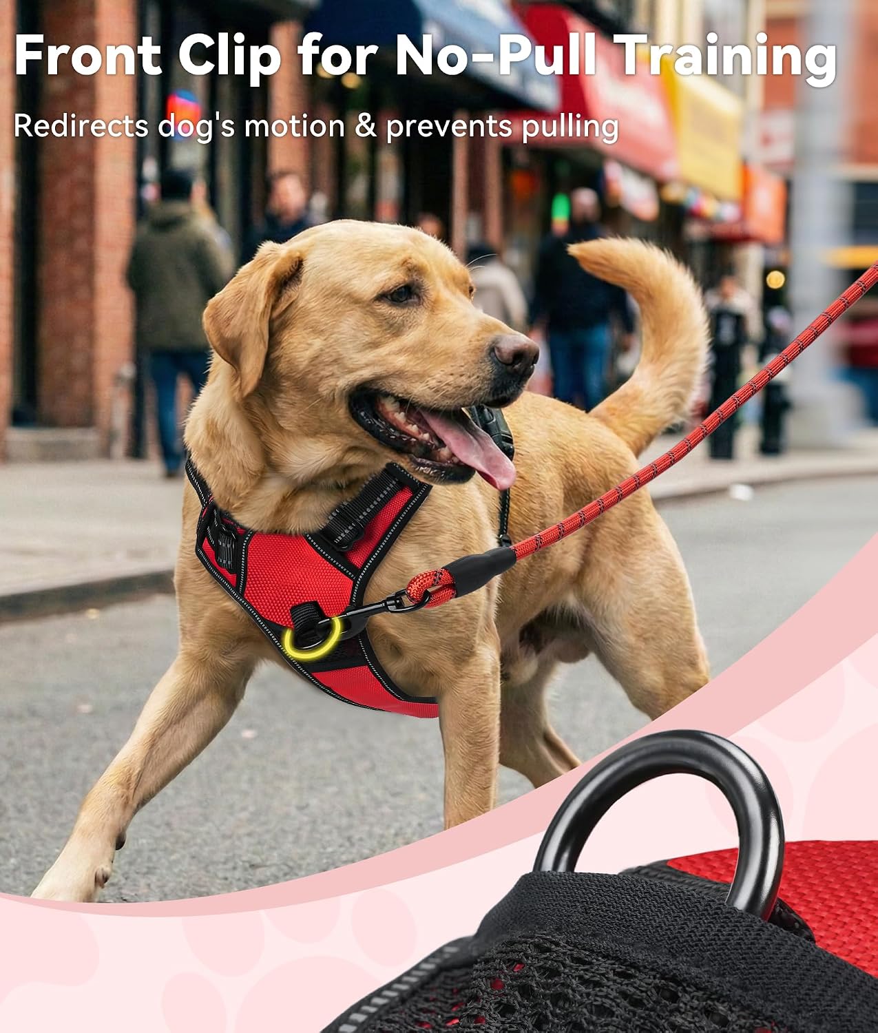 Detalle 2 de Joytale Harnais Chien XL anti-traction 50–101,5 cm