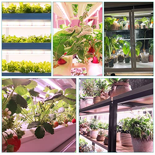 Thumbnail 6 de Niello Tiras de Luz de Cultivo 🌱 72W 60cm Espectro Completo