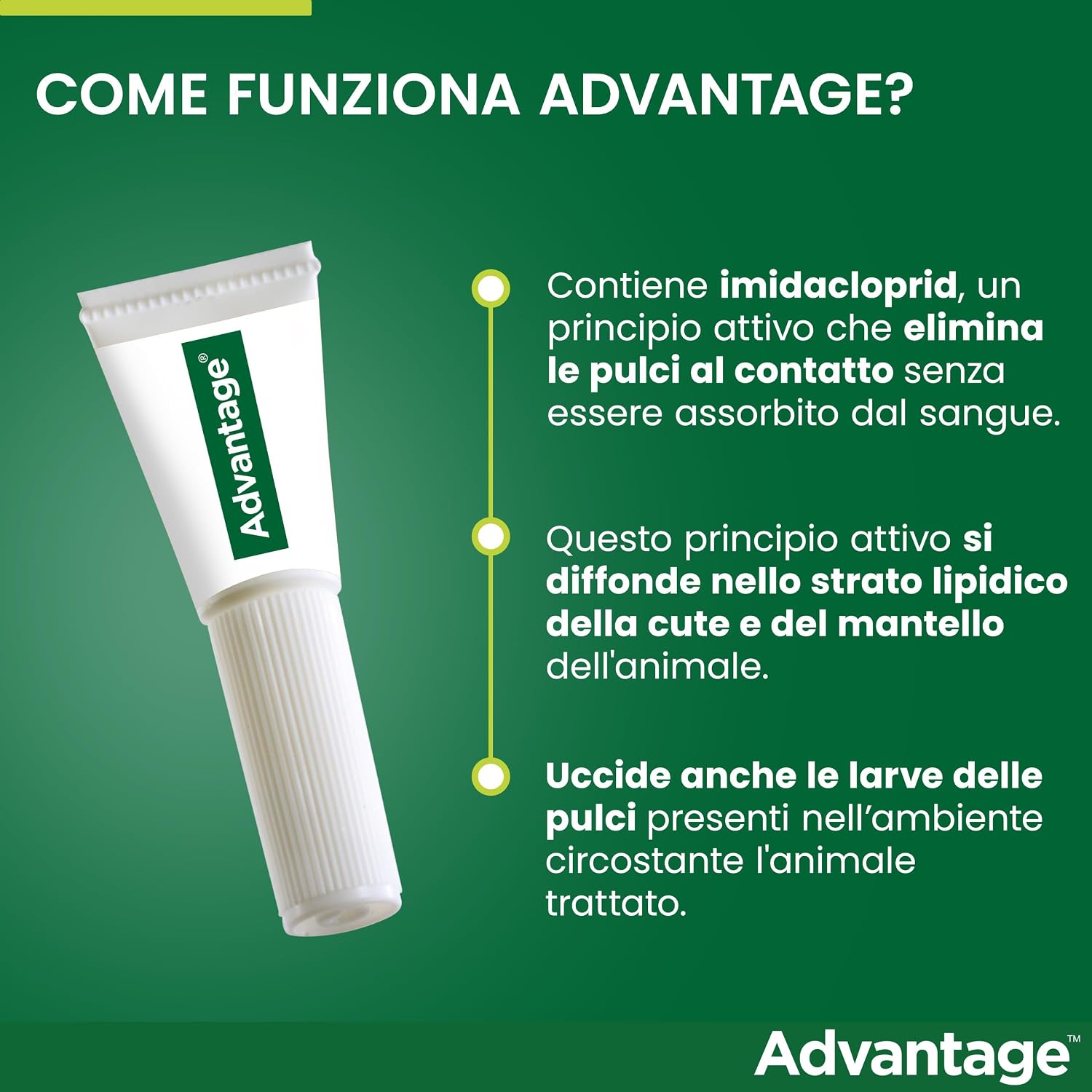 Detalle de Advantage spot-on per gatti grandi (4 pipette) – Trattamento antipulci Elanco