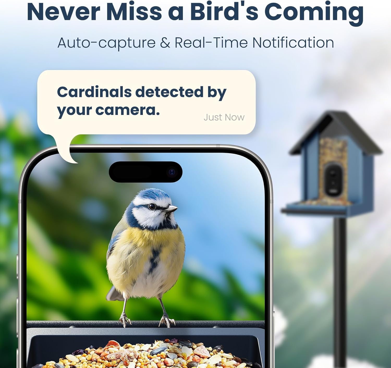 Detalle 2 de Smart Bird Feeder with Camera: 2.5K UHD, Solar-Powered, IP66 Steel Outdoor Kit