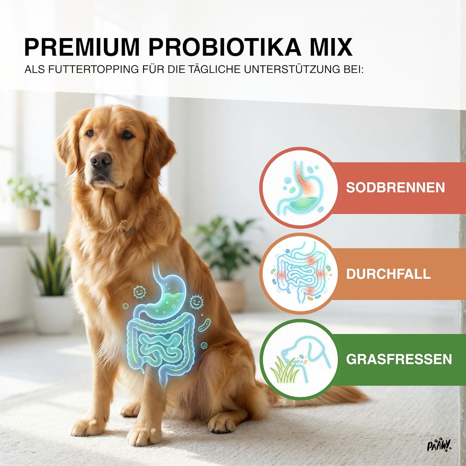 Thumbnail 2 de paawy Paawy Probiotika Hund – 10-in-1 Wirkstoff-Komplex mit Ulmenrinde & Moor als Futtertopping