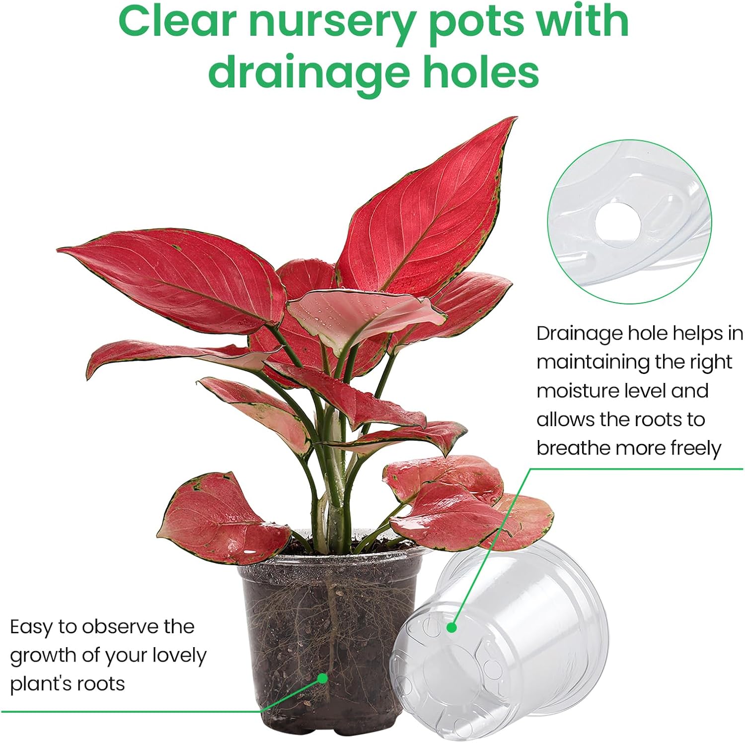 Thumbnail 2 de Bluepro Clear Nursery Pots, 36-Pack in Four Sizes with Drainage Holes