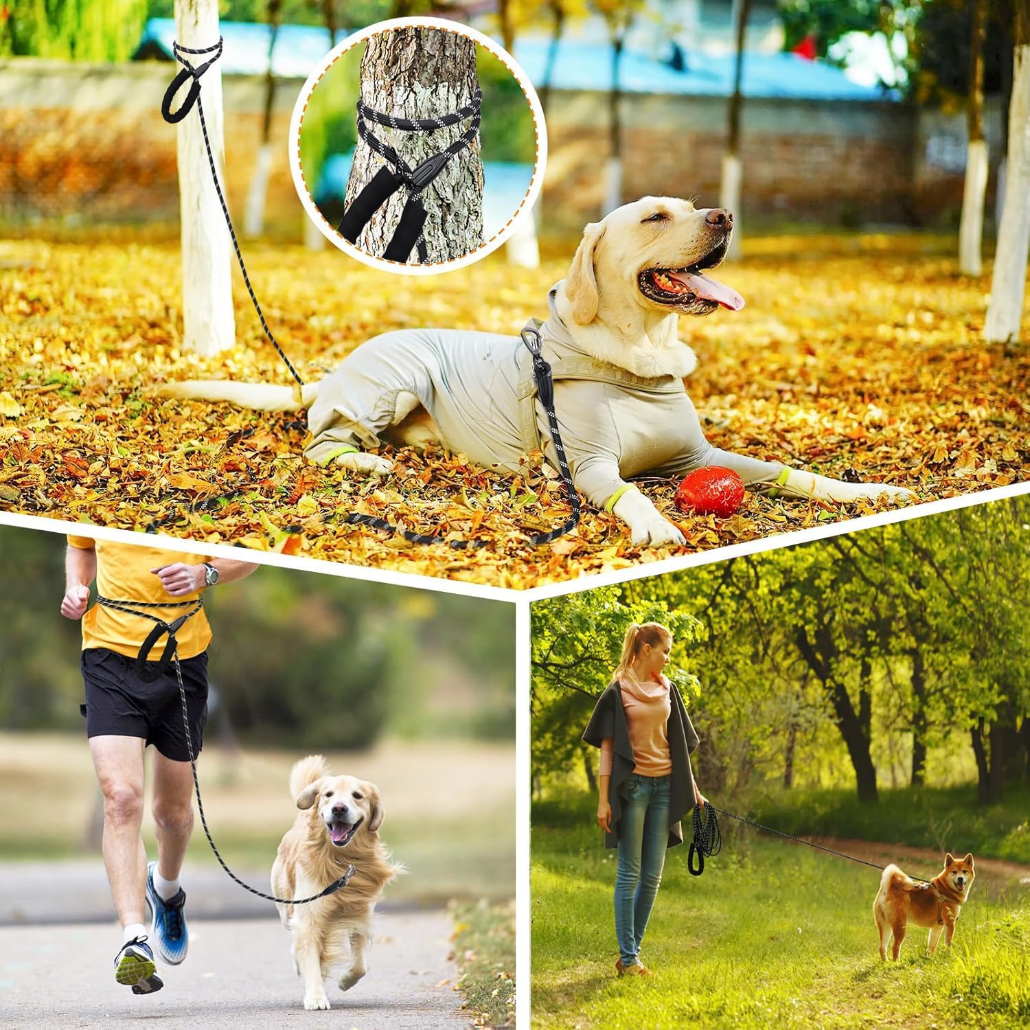 Thumbnail 6 de Guinzaglio per cani lungo in nylon con impugnatura EVA imbottita e cuciture riflettenti, 1,2–30 m