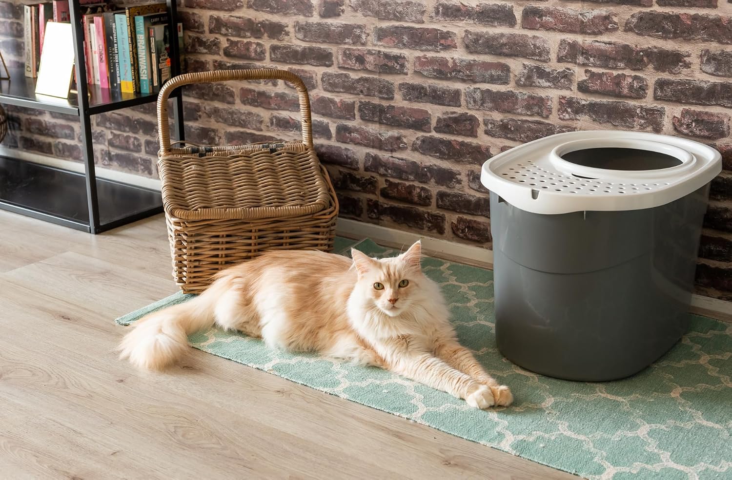 Detalle 2 de Iris Ohyama TECL-20 Katzenklo 6,5 L 🚽