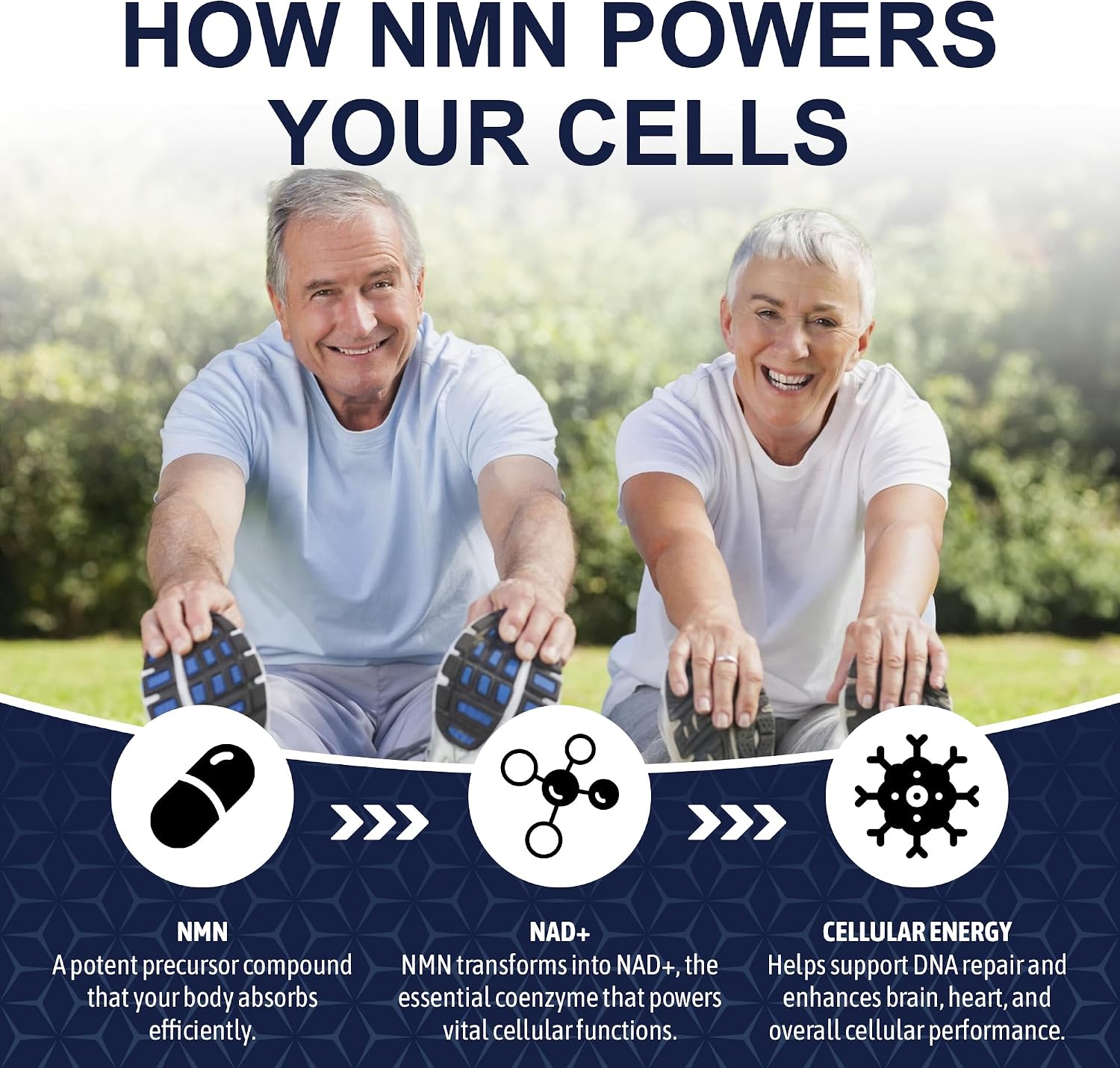 Thumbnail 4 de Nutristic NMN Capsules, 600 mg per Capsule, 100 Count, 99%+ Purity