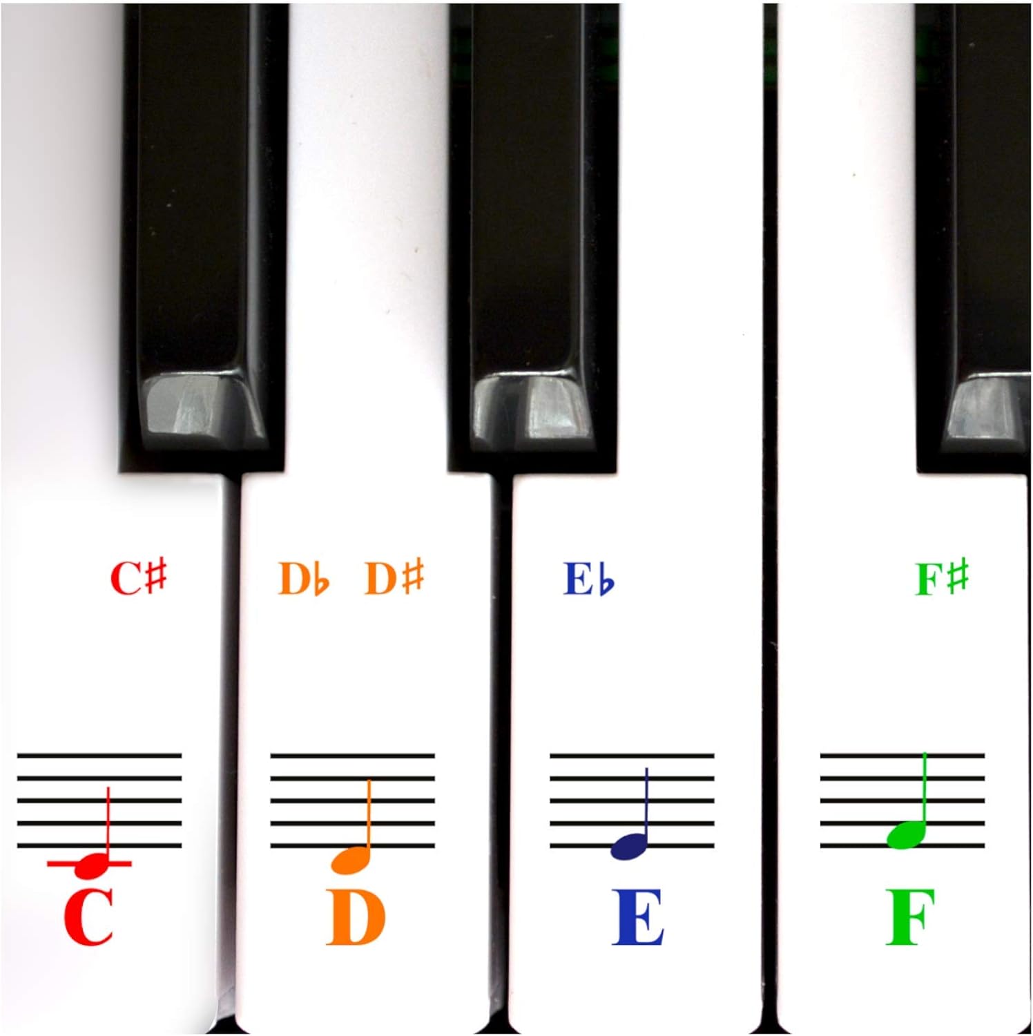 Detalle de QMG Piano Keyboard Note Stickers, 2-Pack, Transparent Vinyl for White Keys
