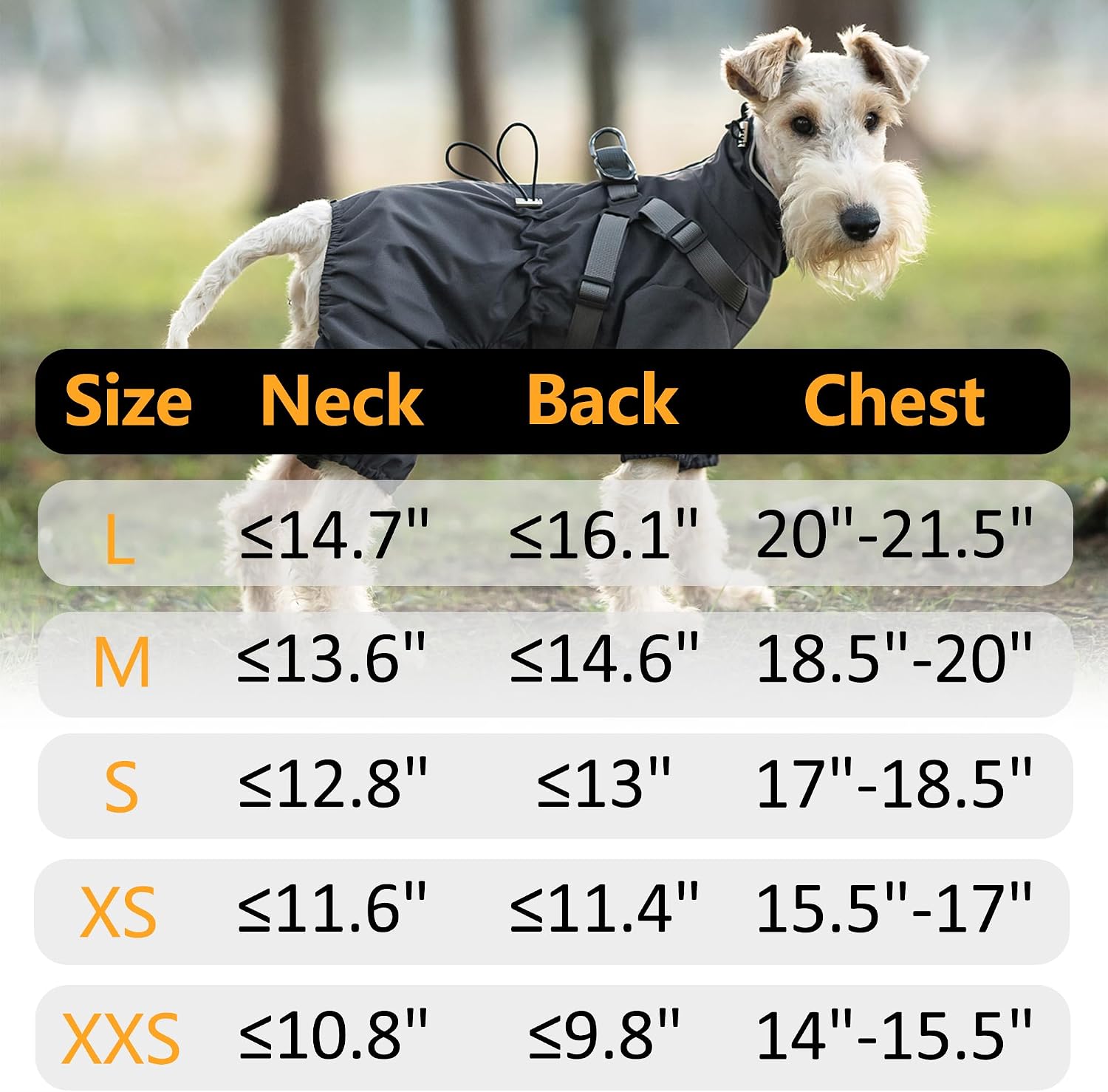 Detalle 2 de Mile High Life Dog Raincoat, Size S