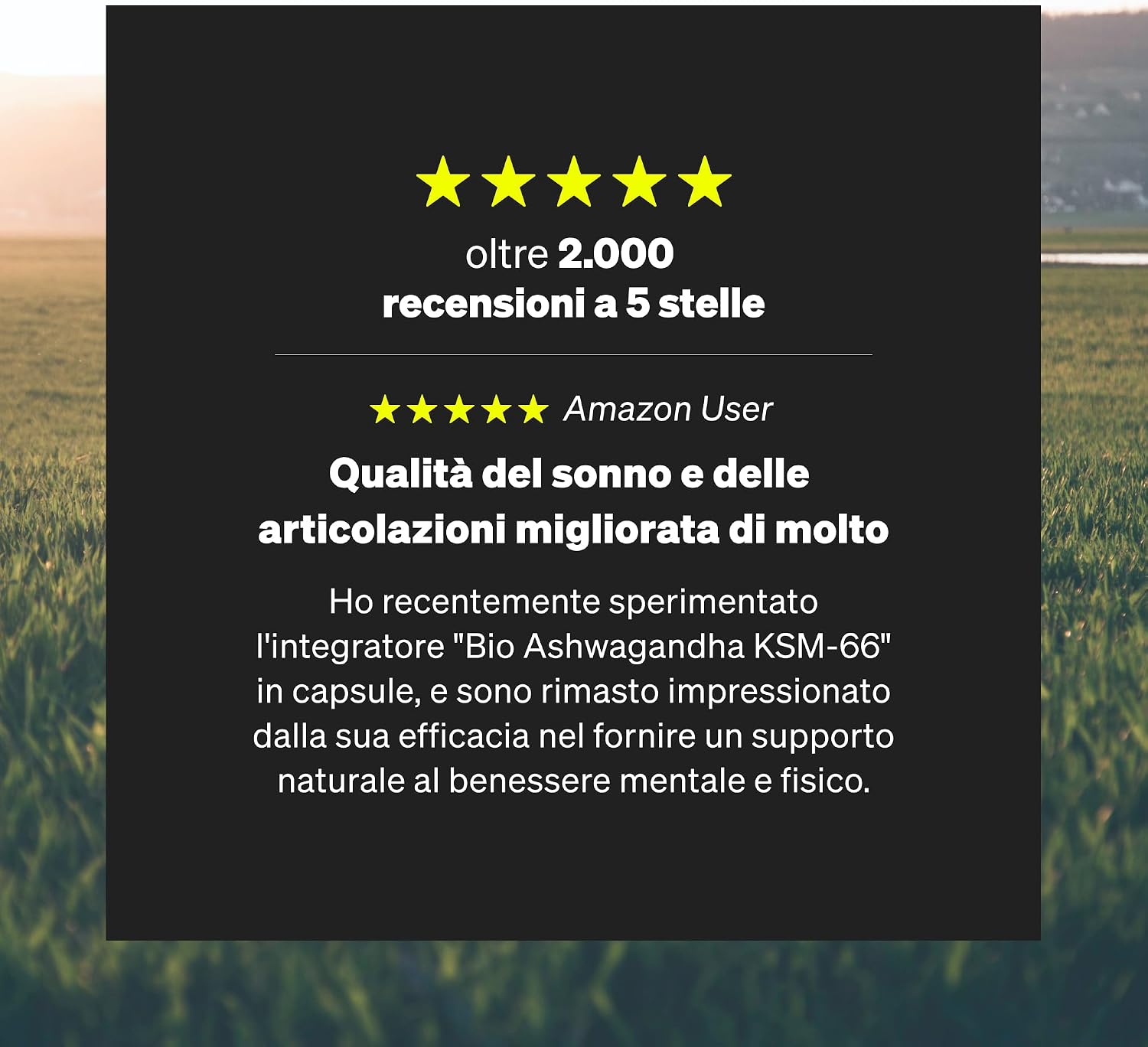 Detalle de Ashwagandha KSM-66 (120 capsule) con magnesio bisglicinato, B6, B12 e vitamina C