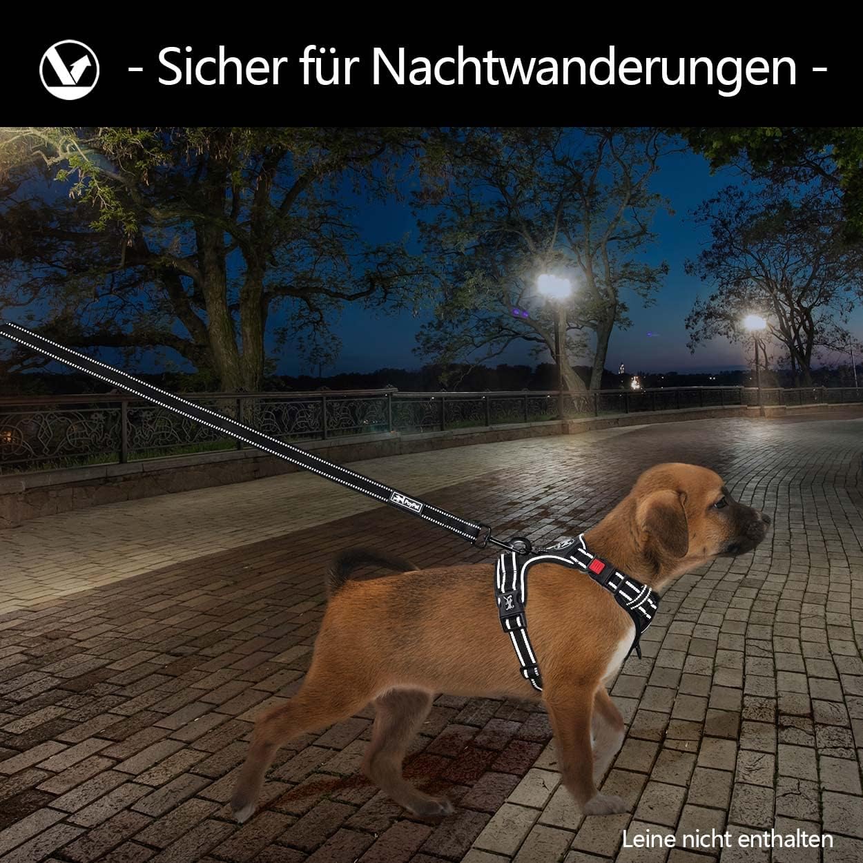 Thumbnail 3 de PoyPet Keine Pull Hundegeschirr Schwarz M