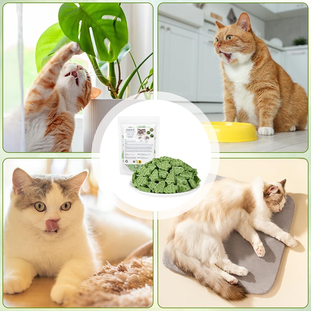 Thumbnail 6 de OSDUE 5580190 kattensnack met kattengras, gevriesdroogd met kip en eigeel