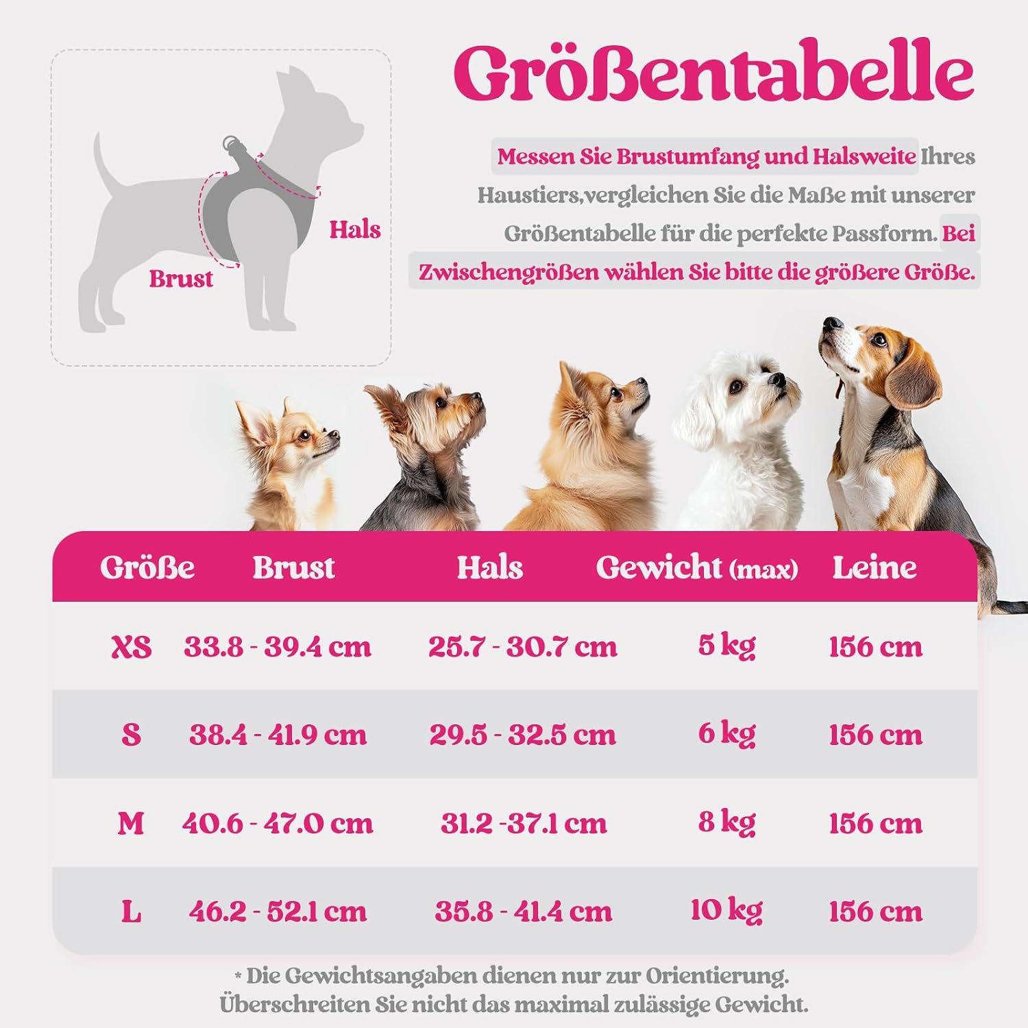 Thumbnail 1 de rabbitgoo Hundegeschirr M Rosarot für Kleine Hunde