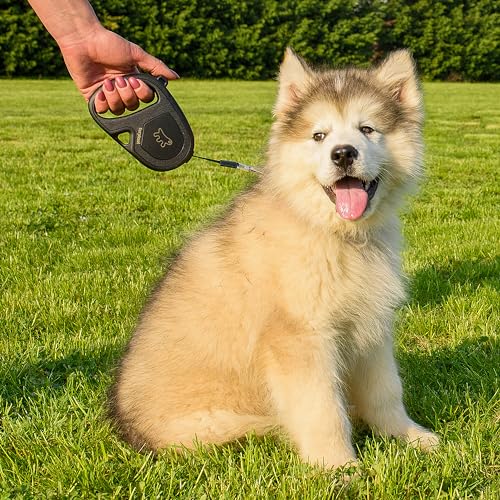 Detalle 2 de Ferplast Flippy One laisse chien 4 m