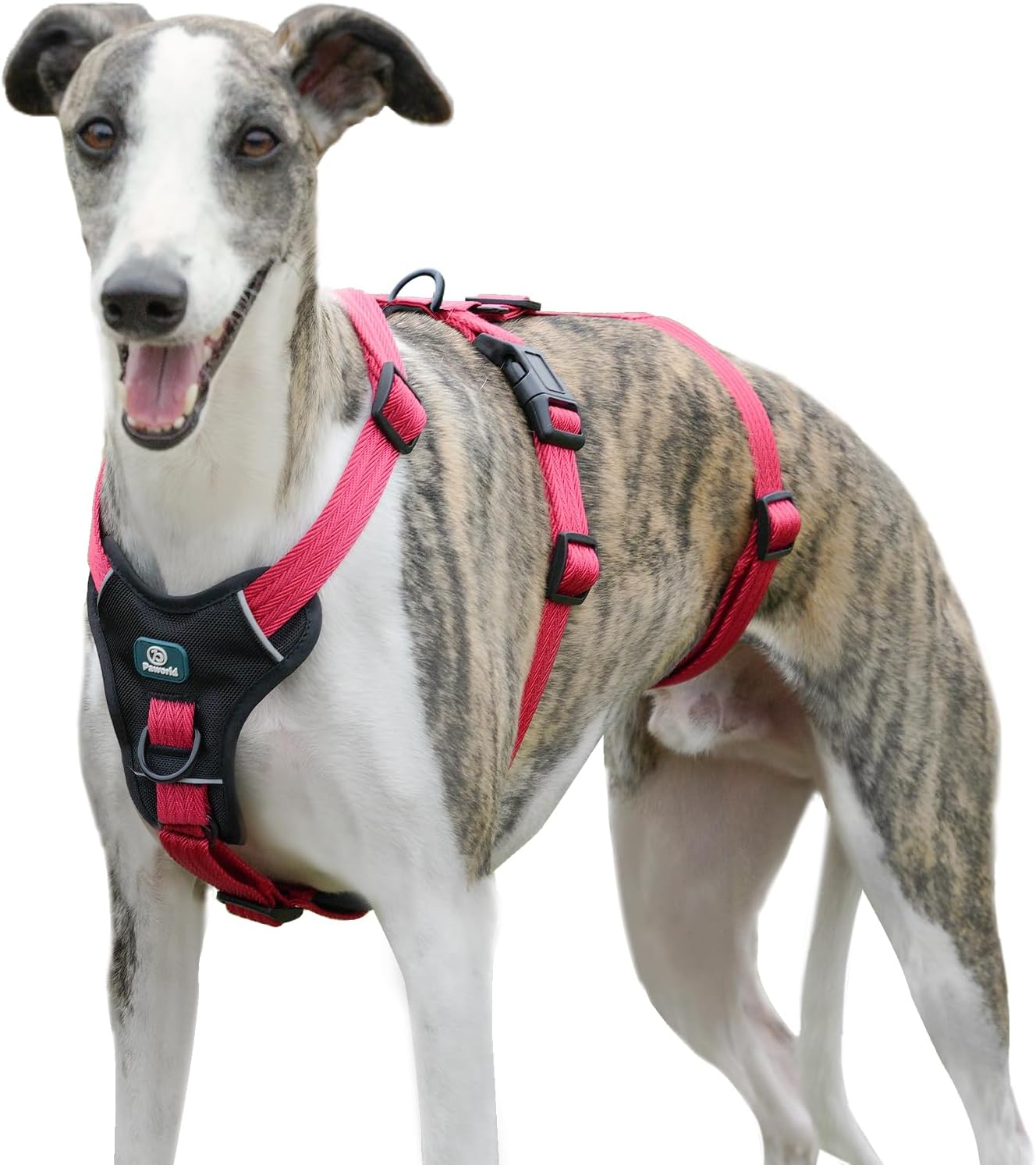 Detalle de Paworld Escape Proof Dog Harness (XL) – 3-Point Greyhound Harness with Front Clip for Whippet and Large Breeds