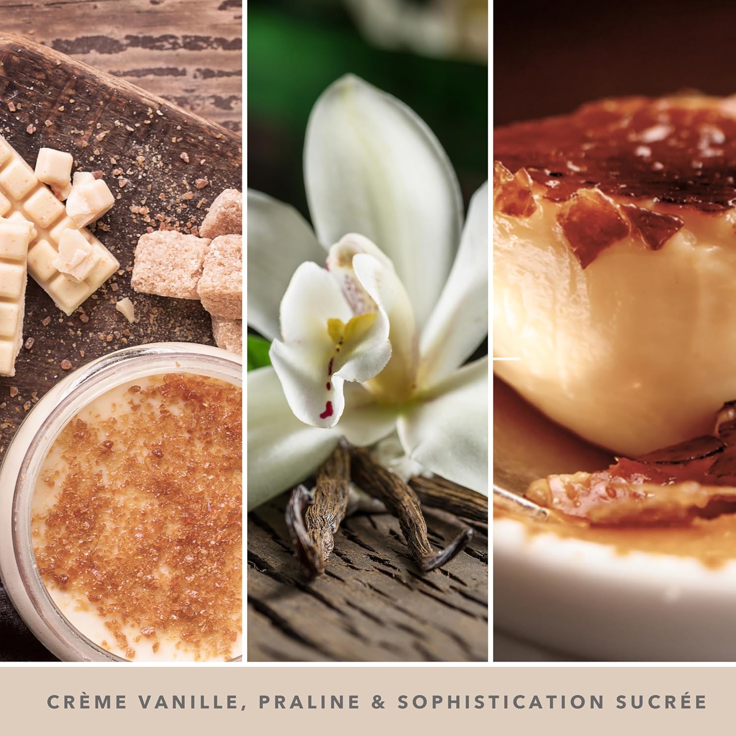Thumbnail 2 de Yankee Candle Studio Bougie parfumée Crème Brûlée à la Vanille – Bougie moyenne 284 g, 35–50 h