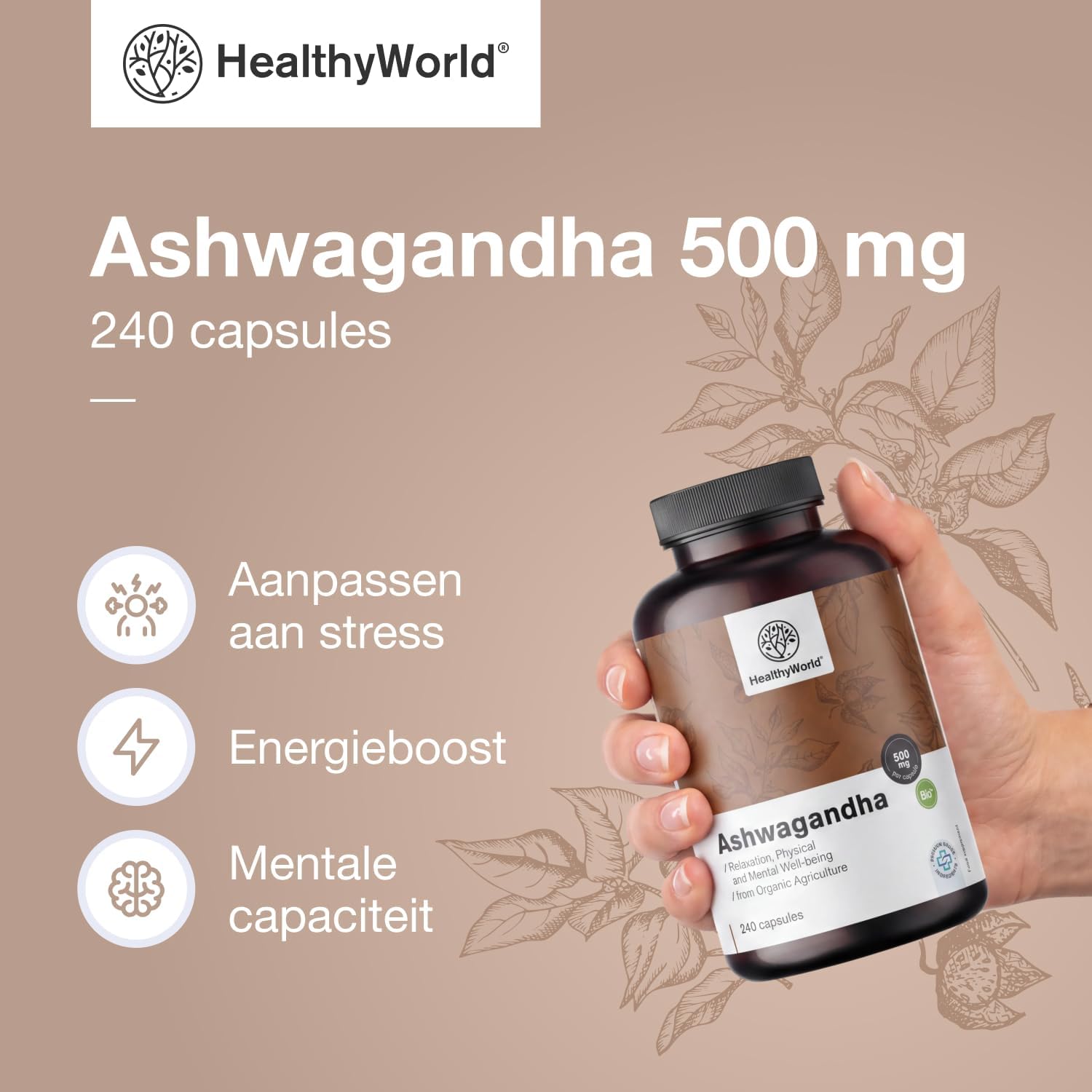 Detalle 2 de HealthyWorld Ashwagandha 500 mg, 240 plantaardige capsules