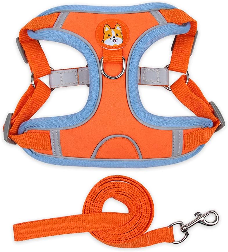 Thumbnail 6 de MAJIAYU Dog Harness and Leash Set, Size M